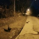 어반스케치 미술산책 이미지