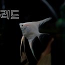 구라피쉬 이미지