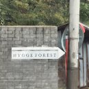 덕희농장 | 10월 캠핑 휘게포레스트(예약한 내가 금손)