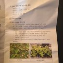 상지농장농업회사법인주식회사 | 김포시 경영실습임대농장 견학