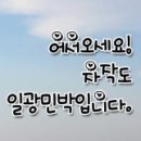 자작도 일광민박 이미지