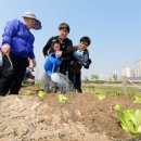 중랑천 제4체육공원 이미지