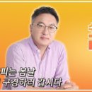 봄날라이브