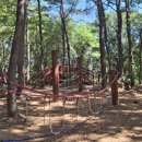 파주시유아숲체험원 이미지