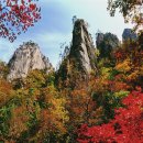 제천푸른솔산악회/ 설악산 주전골 단풍트레킹 이미지