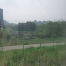 종로-연건-종로-연-537 | [23.06.05~07] 계획없이 홀로 떠난 2박 3일 생에 첫 대구여행 <1일차>