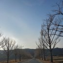 명동쫄면 이미지