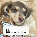 헬로바이 이미지