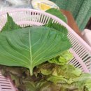 하동숯불갈비