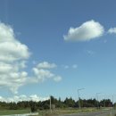 올레목장 | [제주여행] 3박4일 가족여행 코스 Day2 :: 네거리식당,목장카페 밭디,덴드리,서귀포매일올레시장,적심