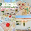 봉성로 | 제주 여행 마지막 날 감성 소품샵 애월 무무제주 방문 후기 구매 목록