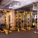 바디 스타일리스트 이미지