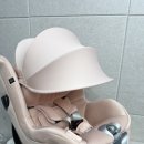 핑크크리닝 | 인천 카시트세탁 추천 | 싸이벡스 제로나 T 핑크 세탁 후기, 누렇게 변한 얼룩까지 깨끗하게!