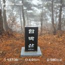 기내미재 | 대구 화원 옥포 함박산 초보가능 쉬운코스 최단코스 등산(기내미재-함박산-기내미재전망대-함박산전망대)