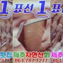 표선1번회센타 이미지