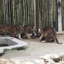 백두산헬스 이미지