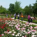 장자호수생태공원 이미지