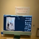 이효원 | 페레 스튜디오 서울 본점 웨딩촬영 셀렉 후기 | 추가금 방어 성공? 실패?