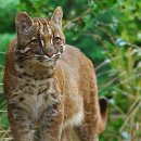 스카이동물병원 이미지