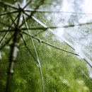 우산약국 이미지