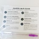 일산 전문적인 속눈썹 펌/연장 맛집 “다란래쉬 일산본점“ 속눈썹 연장 찐 추천 후기🍀