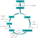 2CYCLE(2싸이클) 네이버블로그