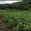 웅양면 오산경로당 이미지