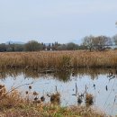 열린행정사사무소 이미지