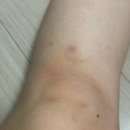 주식회사 페페 | 8월: 꾹꾹눌러담은고봉밥같은달