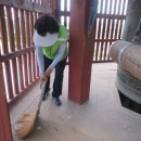 느티나무 일원 이미지