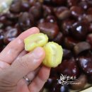 주전부리 티스토리