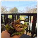 오리숯불구이올이 이미지