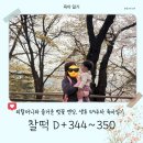 보듬이나눔이제주어린이집 | [26.04.16.] 찰떡일기 (74) :: D+344~350 11개월 아기 걷는답니다🚶‍♂️│에버랜드에서 호랑이 보고온 날...