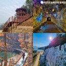금동테크 네이버블로그