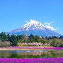 그라운드 골프아카데미 이미지