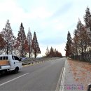 익산대로 이미지