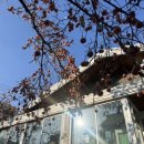 금곡로82번길 5 이미지