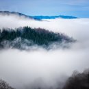 나무인력 - 익산시 | 나무인력