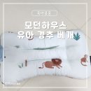 두돌 아기 베개 추천｜모던하우스 알러지케어 유아 경추베개 솔직후기 (내돈내산)