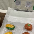카페일분롯데몰광명점 | 광명역 빵집 파머스가든 롯데몰 광명점 후기｜구황작물빵·초당옥수수커피 디저트 추천 (광명 롯데몰 맛집)