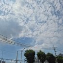 서구 조형벤치 네이버블로그