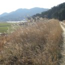 보리와철새 이미지