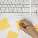 라인인 법과 행정 이미지