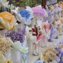 중앙동234 이미지