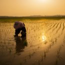 627경로당 이미지