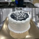 합성동301 | 마산제과제빵전문학원｜케이크 데커레이션, 쁘띠 디저트 수강 솔직 후기 +수업내용(내돈내수업)