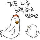 청도자전거공원 이미지