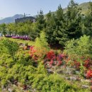 운중공원 이미지