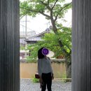 천비농장 | [여행] 다카마쓰/나오시마 (일본 소도시) 여행기 2