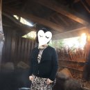 (주)쥬비스다이어트 왕십리점 네이버블로그